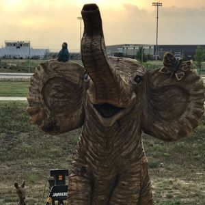 Meet your Posher, Ashaya